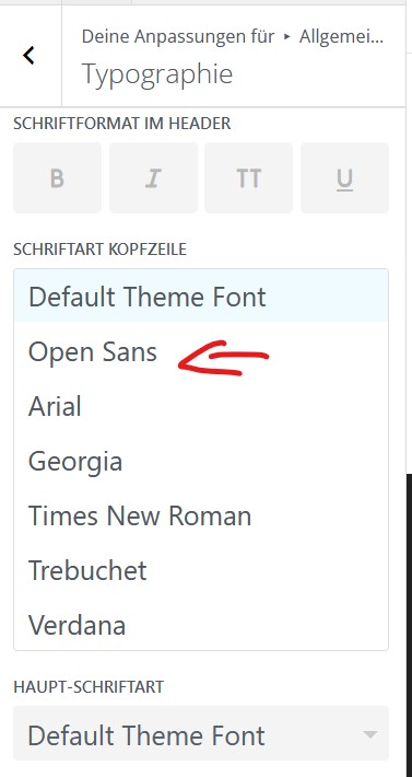 Google Fonts lokal einbinden mit DIVI - Launchlotsen