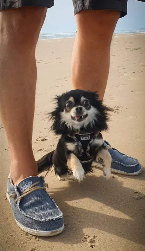 ruby am strand